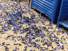 Euro Extreme Open II - Sellier cartriges